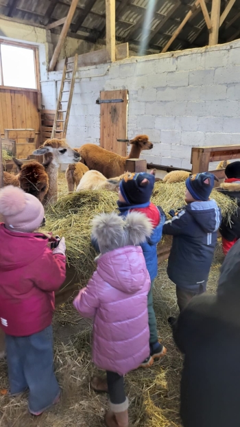 WhatsApp Image 2025-12-16 at 19.34.29.jpeg