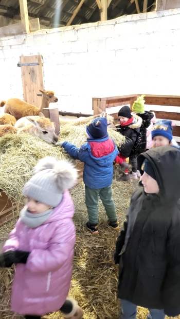 WhatsApp Image 2025-12-16 at 19.34.30 (1).jpeg