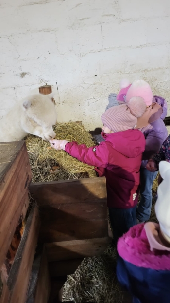 WhatsApp Image 2025-12-16 at 19.34.30.jpeg