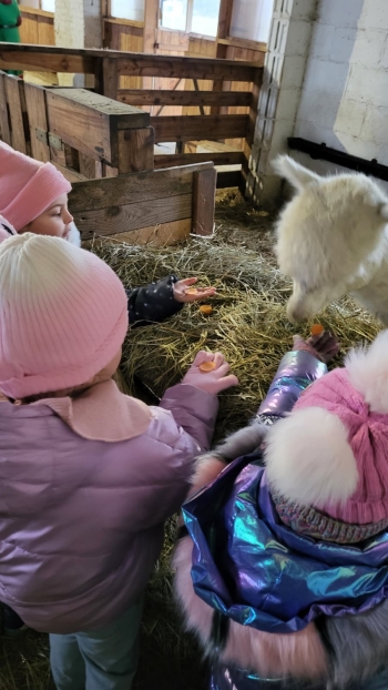 WhatsApp Image 2025-12-16 at 19.34.31.jpeg