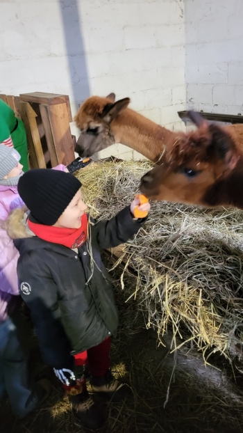 WhatsApp Image 2025-12-16 at 19.34.32.jpeg