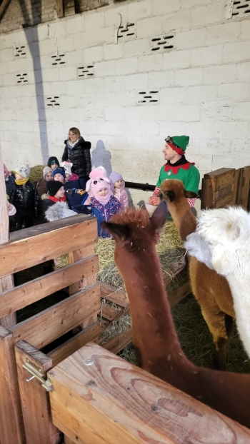 WhatsApp Image 2025-12-16 at 19.34.33 (1).jpeg