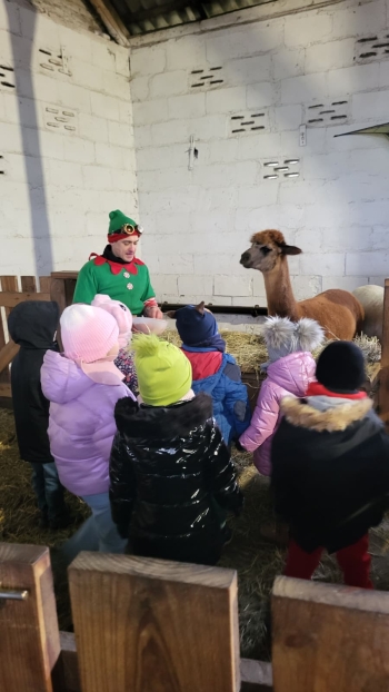 WhatsApp Image 2025-12-16 at 19.34.33.jpeg