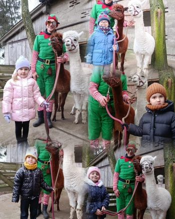 WhatsApp Image 2025-12-16 at 19.43.06.jpeg