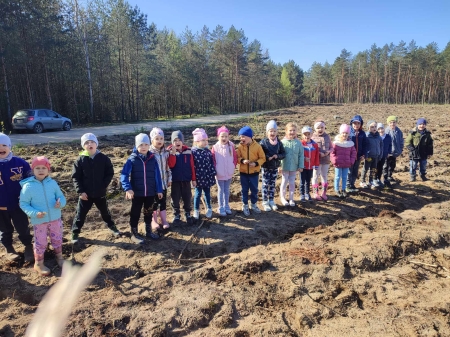 PRZEDSZKOLAKI SADZĄ LAS