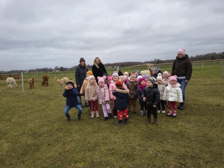 BIEDRONKI - Hola Alpaca - Wioska Świętego Mikołaja 